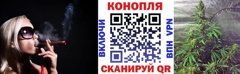 Где можно купить наркотики Покров Канабис APVP МЕФ