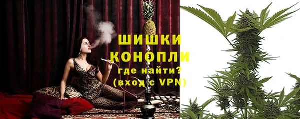 spice Алзамай