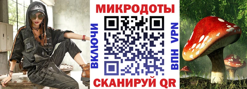 Псилоцибиновые грибы Psilocybe Покров